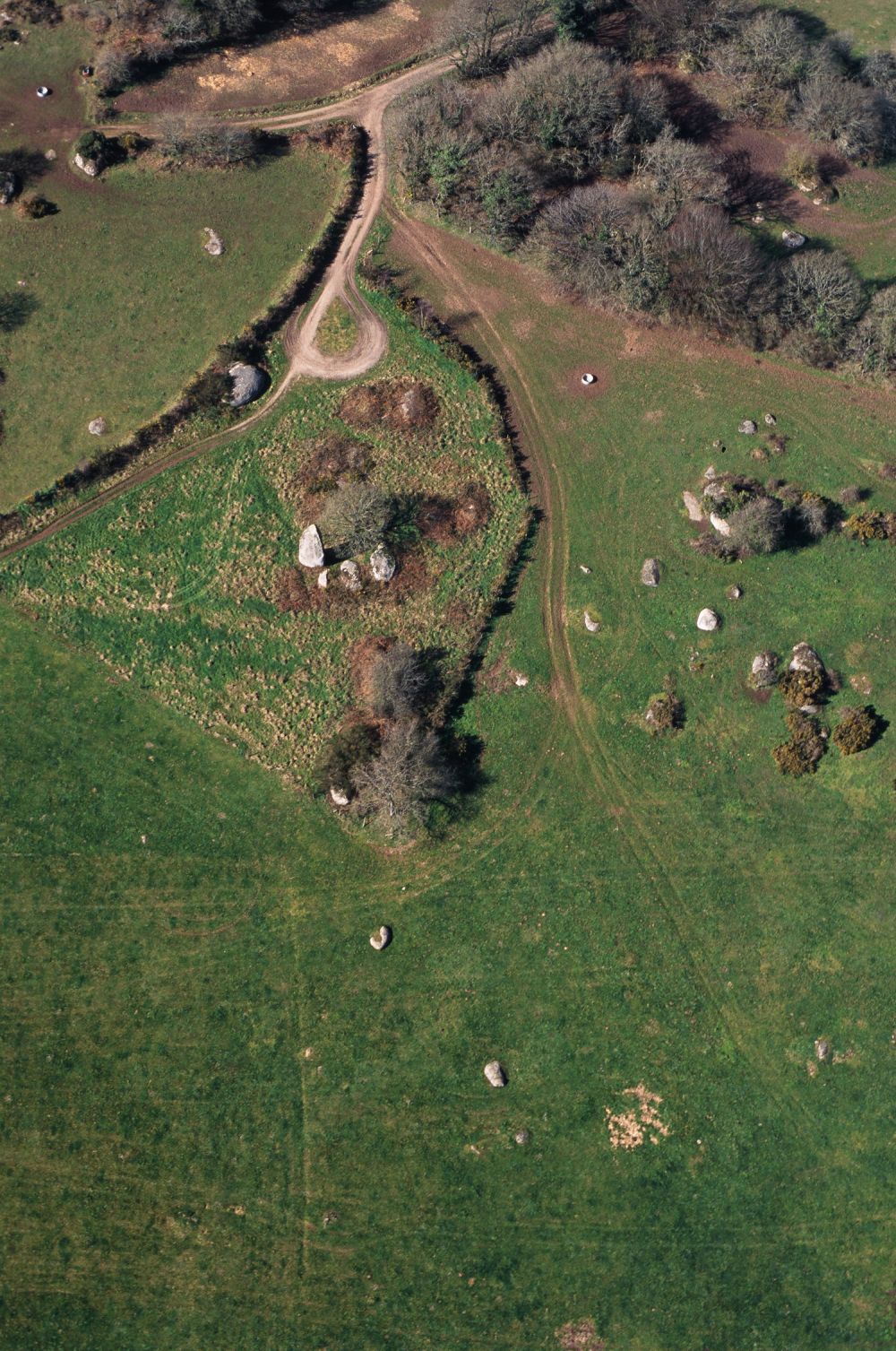 Saint-Gilles-Pligeaux (22). Menhir de Kergornnec, vue du ciel. Cliché M. Gautier