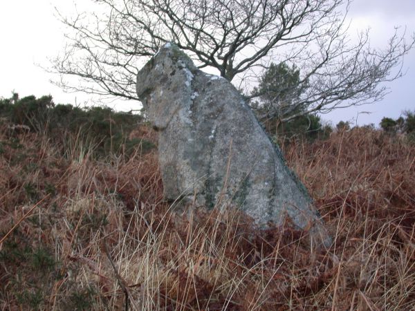 Menhir de Ar Cosquer, Locarn