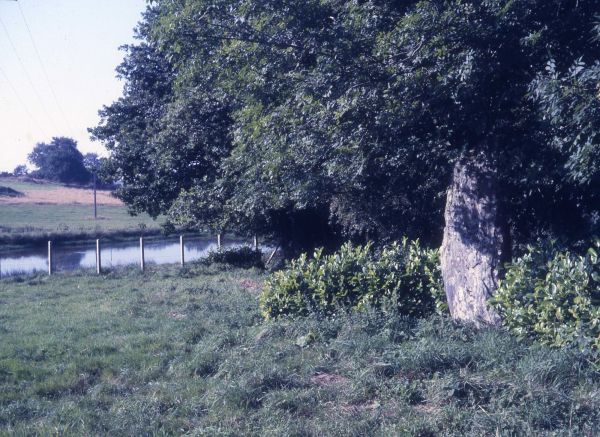 Menhir du Bourg, Saint-Mayeux