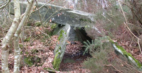 llée couverte du Bois de Gouarec