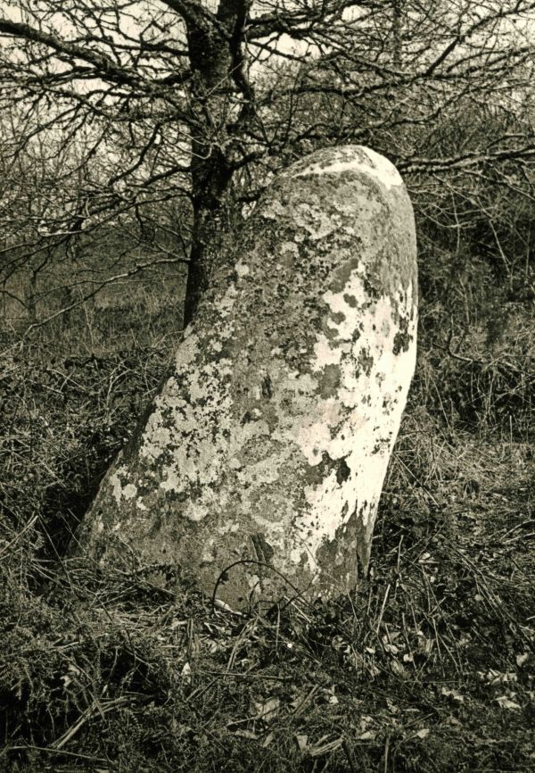 Menhir de Cornec