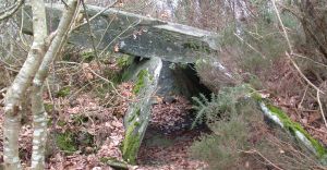 llée couverte du Bois de Gouarec