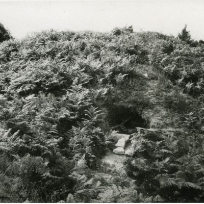 Tumulus de Kermain, Langonnet