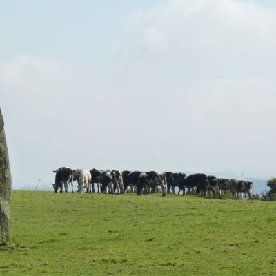 Menhir de Goresto, Canihuel