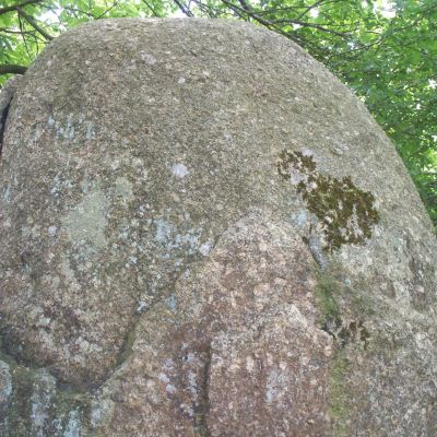 Bodquelen, Canihuel