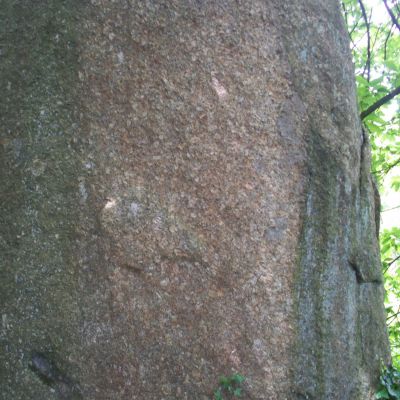 Bodquelen, Canihuel