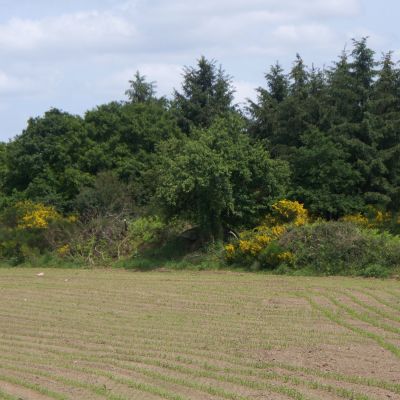 Park Kerdic, Saint-Connan