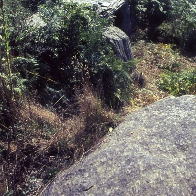 Allée couverte de Min Guionnet © SRA Bretagne