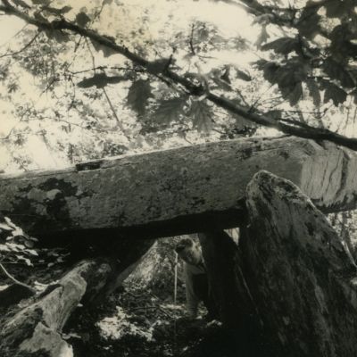 Allée couverte du Bois de Gouarec