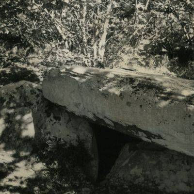 Allée couverte du Bois de Gouarec