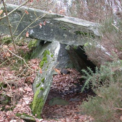 Allée couverte du Bois de Gouarec