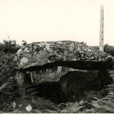 Dolmen de Roc'h Toul