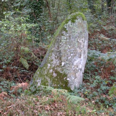 Menhir de Cornec