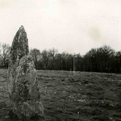 Menhir d'Ar Miniguen