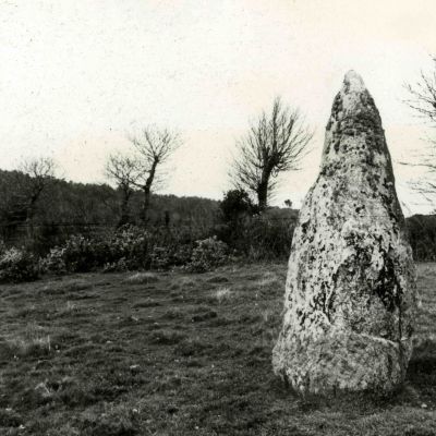 Menhir d'Ar Miniguen
