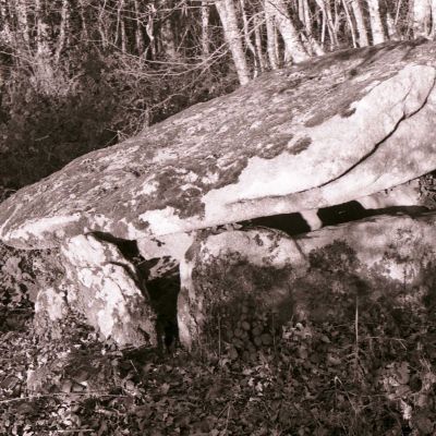 Dolmen de Parc er Crueno © DRAC