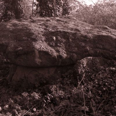 Dolmen de Parc er Crueno © DRAC