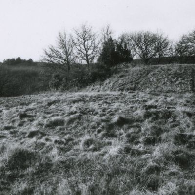  Eperon barré du bois de Kerbescont © J.Lody