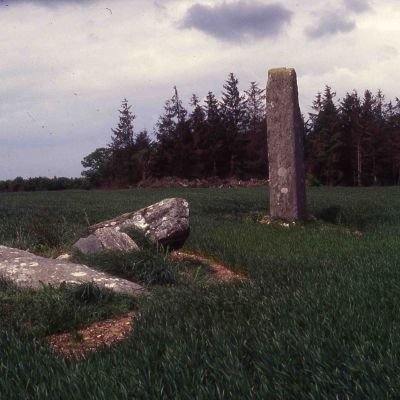 Menhir de Trimin