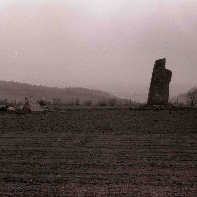 Menhir de Trimin