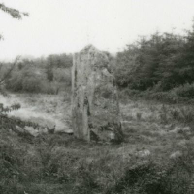 Menhir de Toch ar Lin