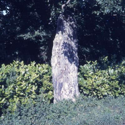 Menhir du Bourg