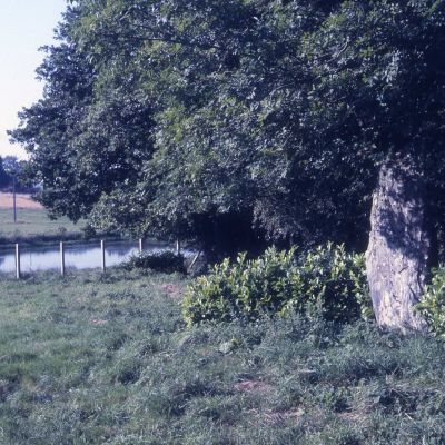 Menhir du Bourg