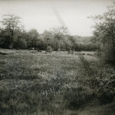 Menhir de Lampaul-Huella