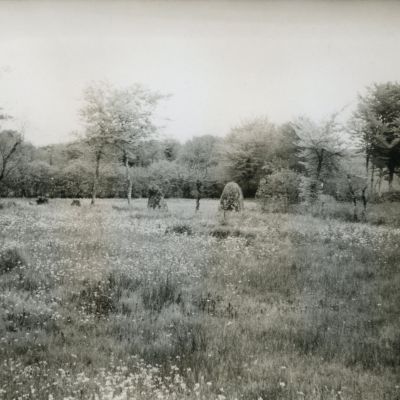 Menhir de Lampaul-Huella