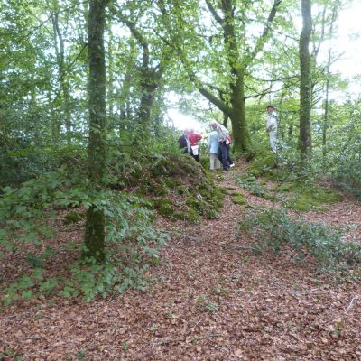 Motte de Kermain, crédit photo RMCom