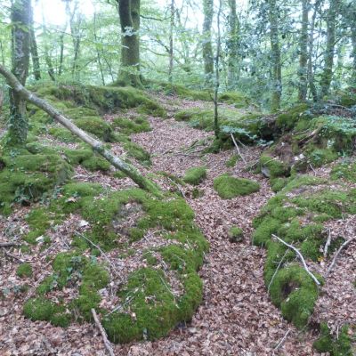 Motte de Kermain, crédit photo RMCom