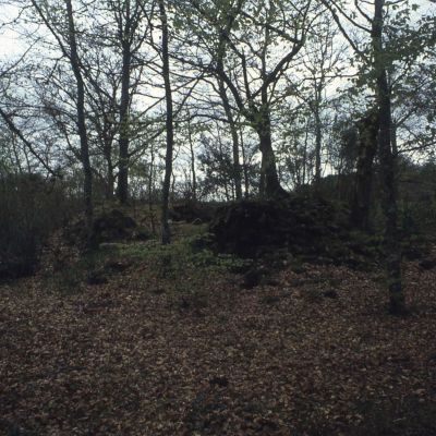 Langonnet, Kermain. Vue générale de la motte. Cliché Drac sra