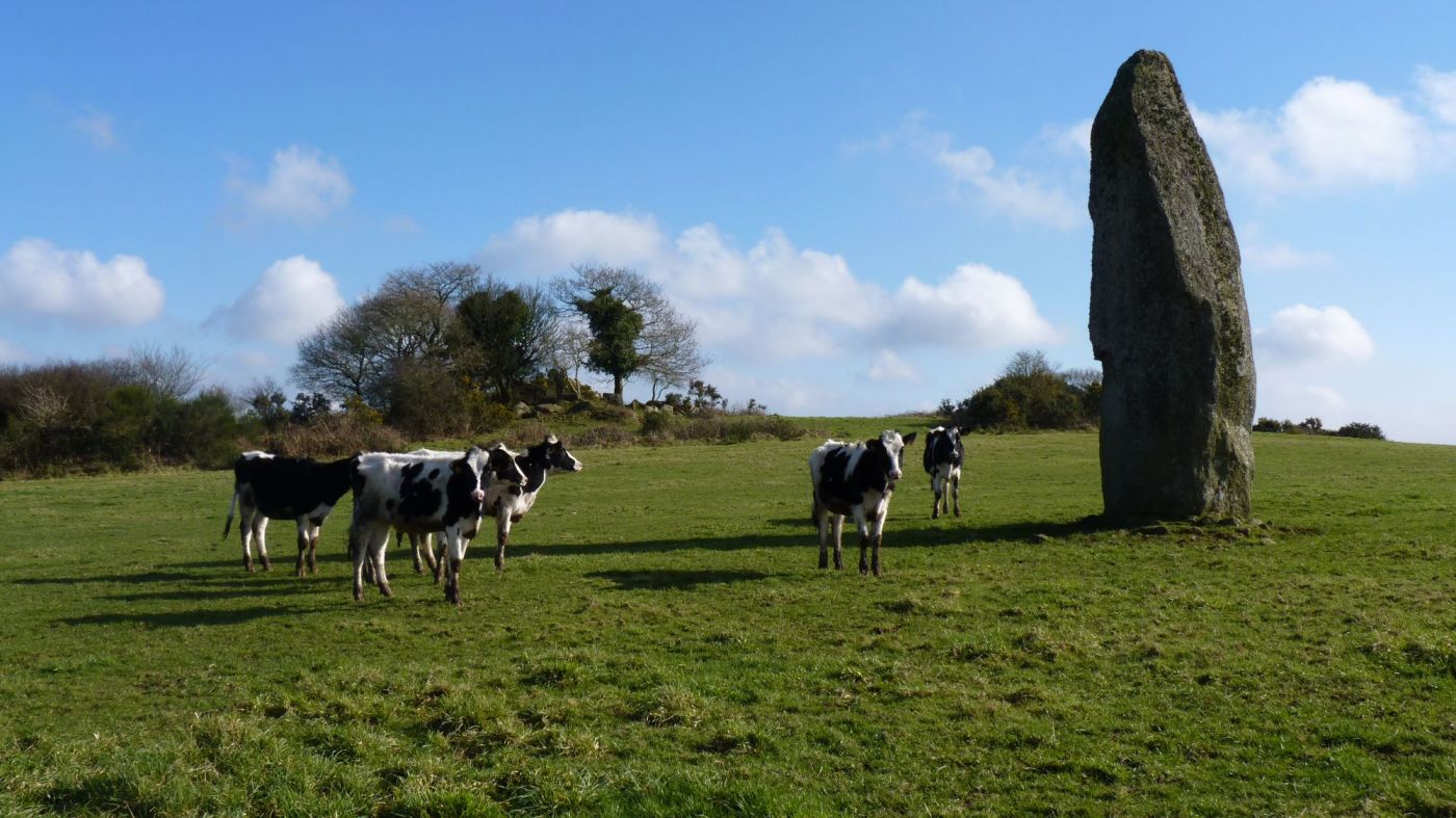 Goresto, Les vaches et le menhir, photo : Lanctuit