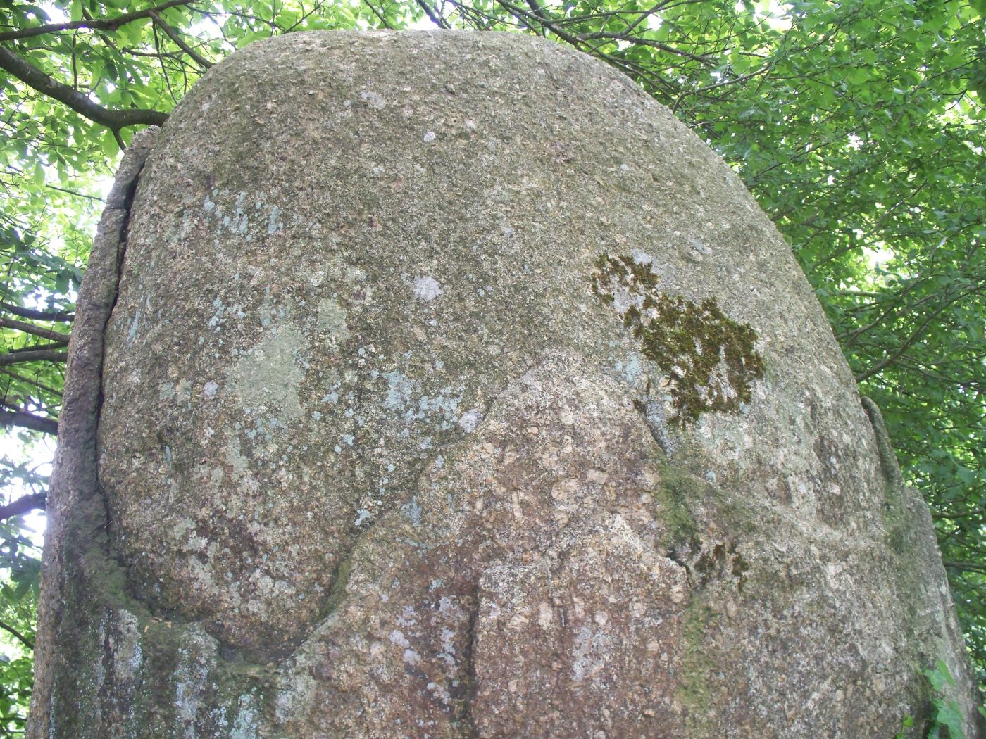 Bodquelen, Menhir au vert, Photo : A. Provost
