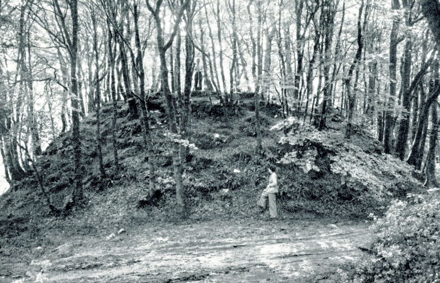 Motte du camp d'Arthus, Photo : Wheeler