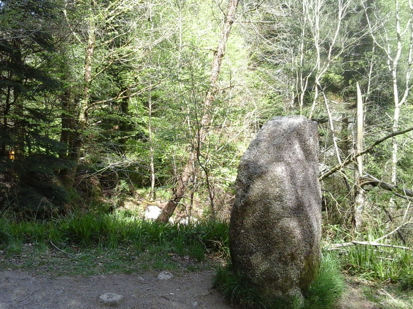 Huelgoat, Menhir au pied vert, M-H. Cosquéric Huelgoat, Menhir