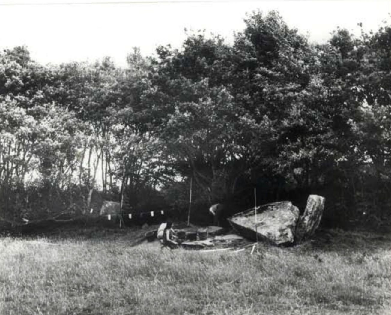 Kerrivalan, Vue à la fin des travaux, Photo : CT Le Roux Kerrivalan, Plélauff