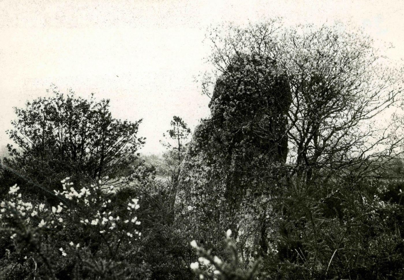 Menhir du Mendy, DRAC
