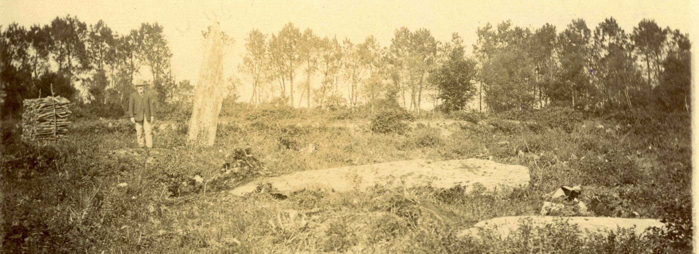 Alignement du Bois du Duc, DRAC