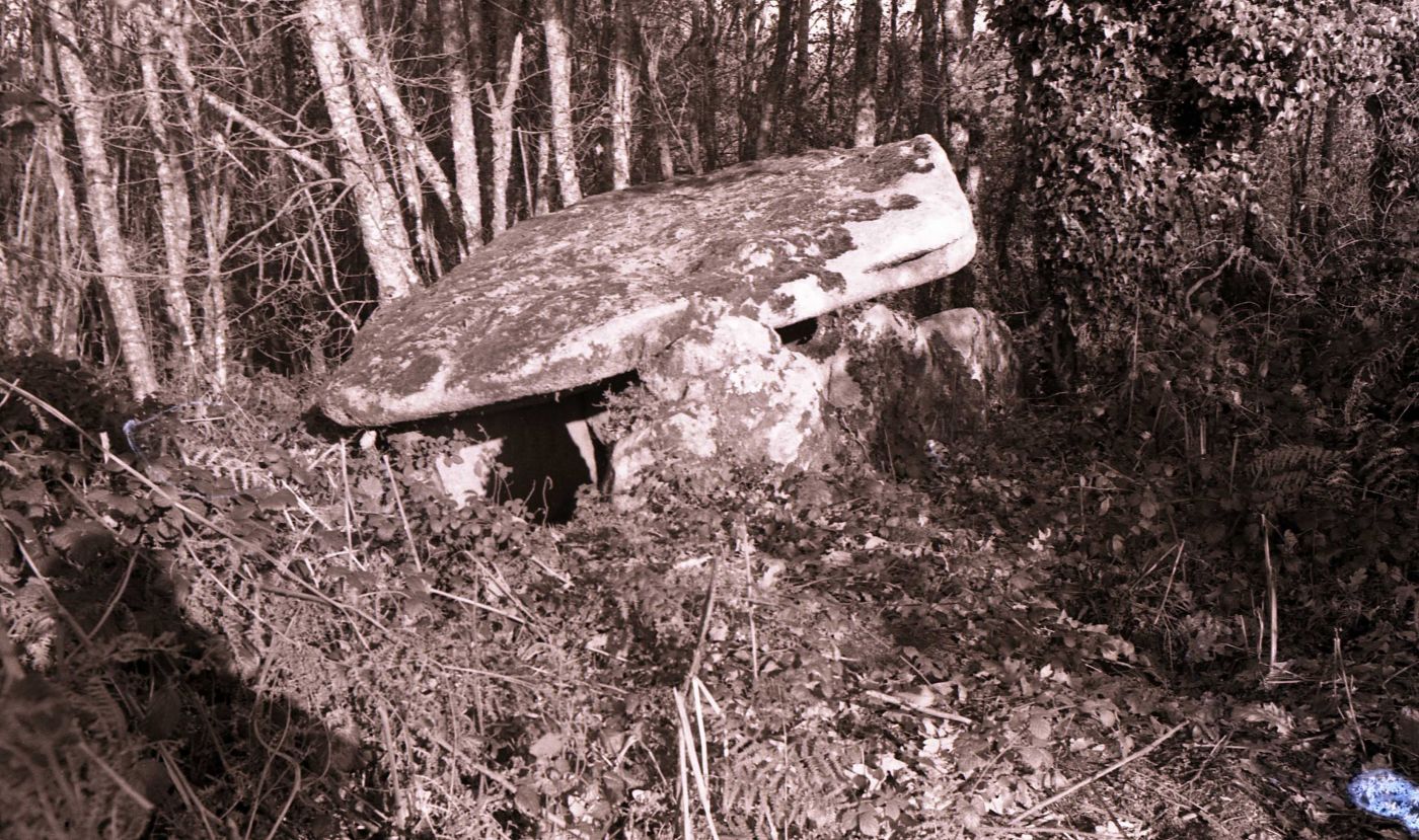 Dolmen de Parc er Crueno, Plouray