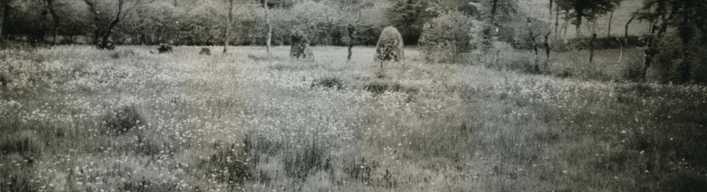 Menhir de Lampaul-Huellan, DRAC