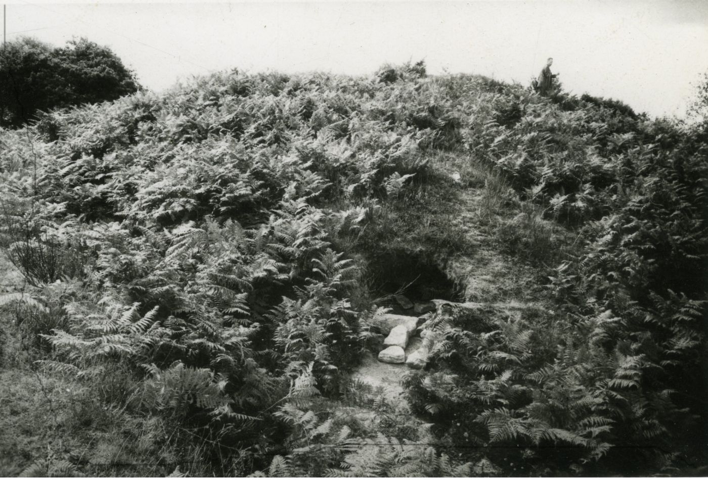 Tumulus de Kermain, Langonnet