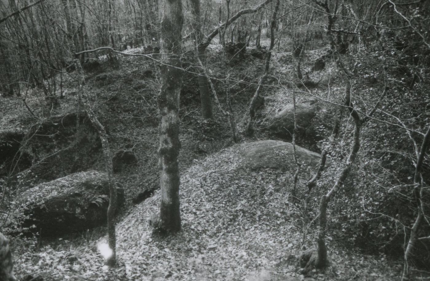 Eperon barré du bois de Kerbescont, Photo : J. Lody Eperon barré du bois de Kerbescont