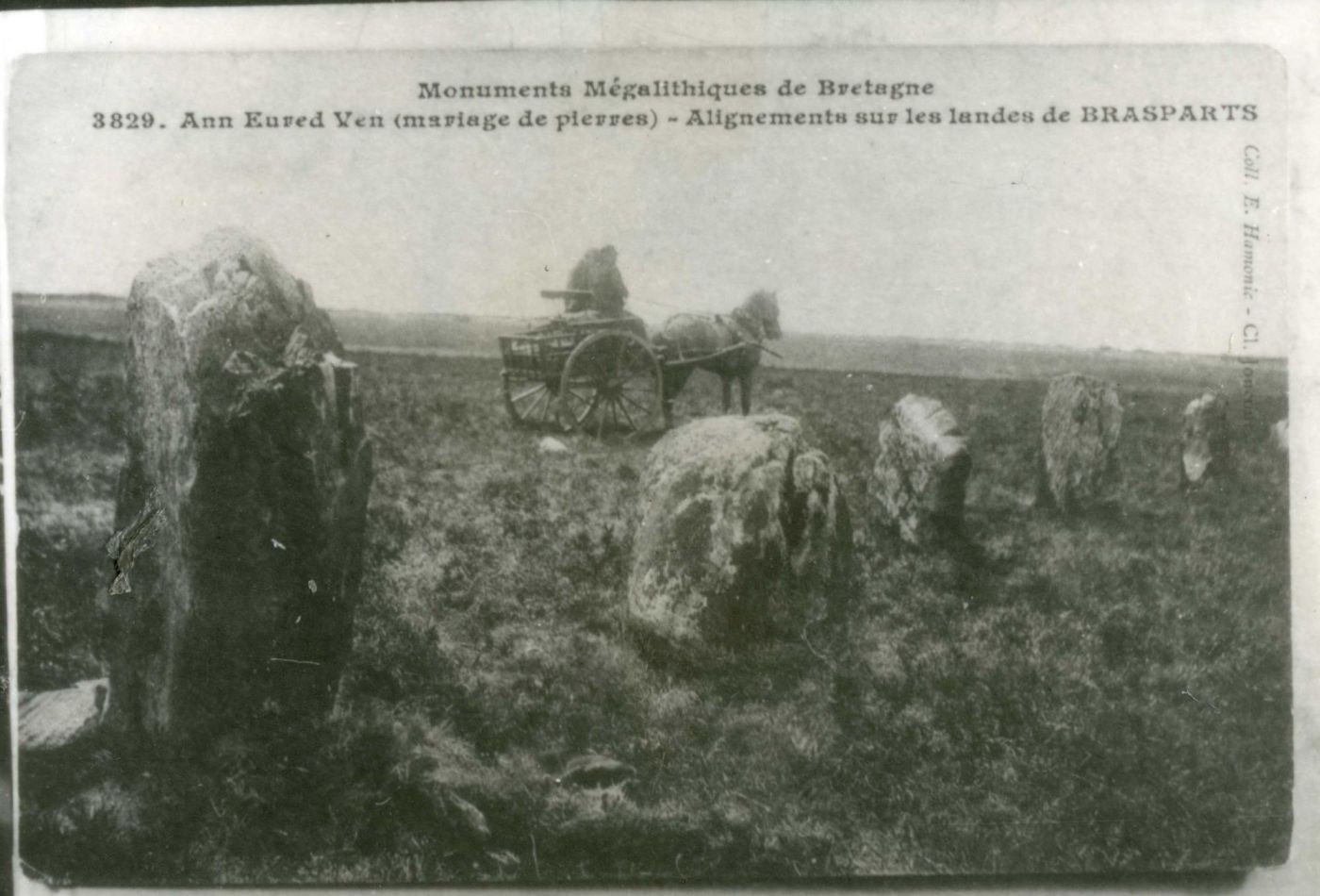 Alignement de la Noce de pierre (An eured vein) Kreizy Archéo