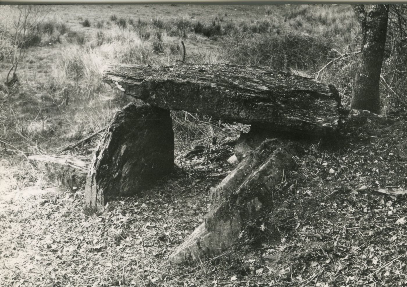 Allée couverte de Kervoulédic Kreizy Archéo