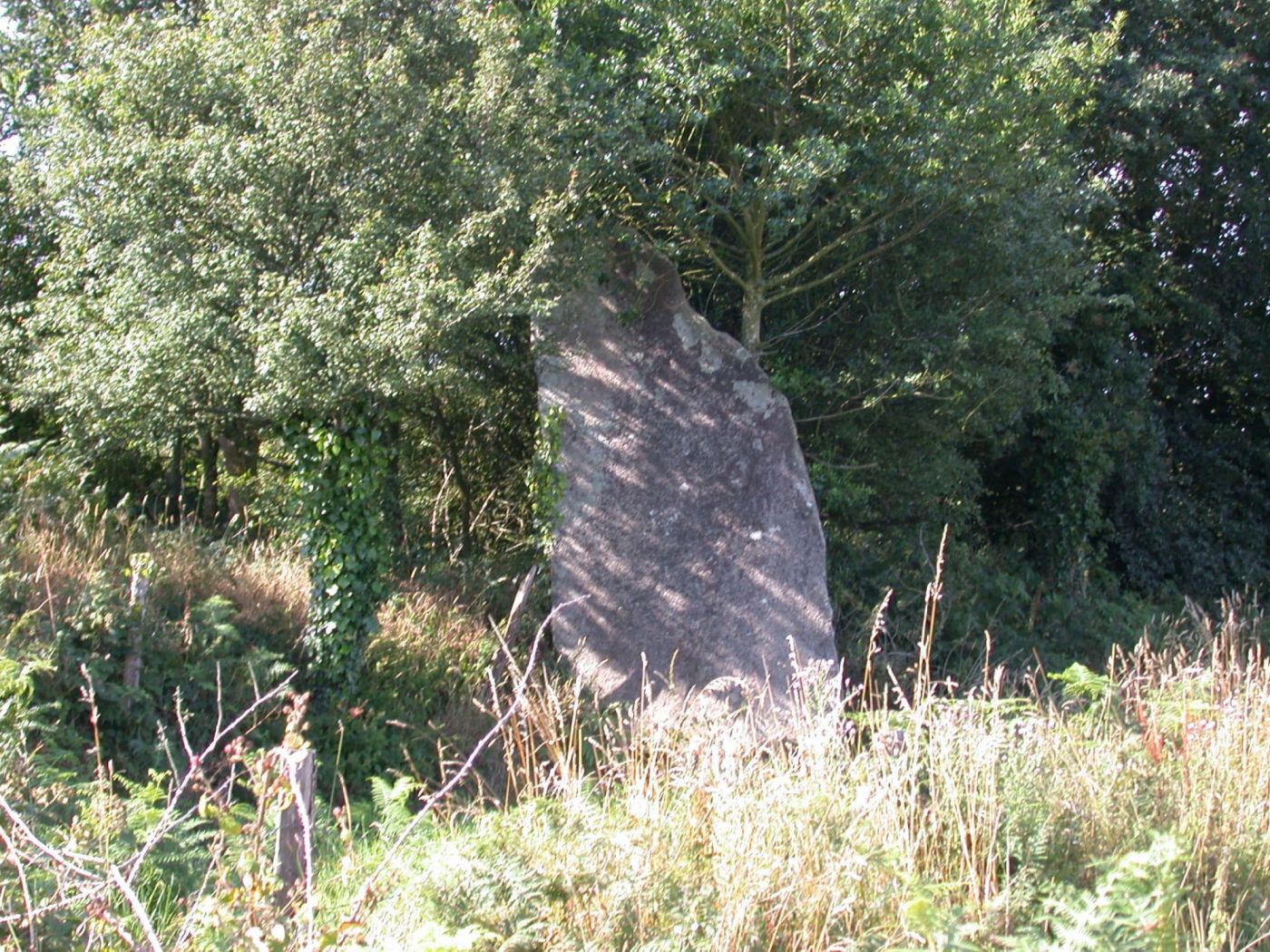 Menhir de Prat-menhir Menhir de Prat-menhir