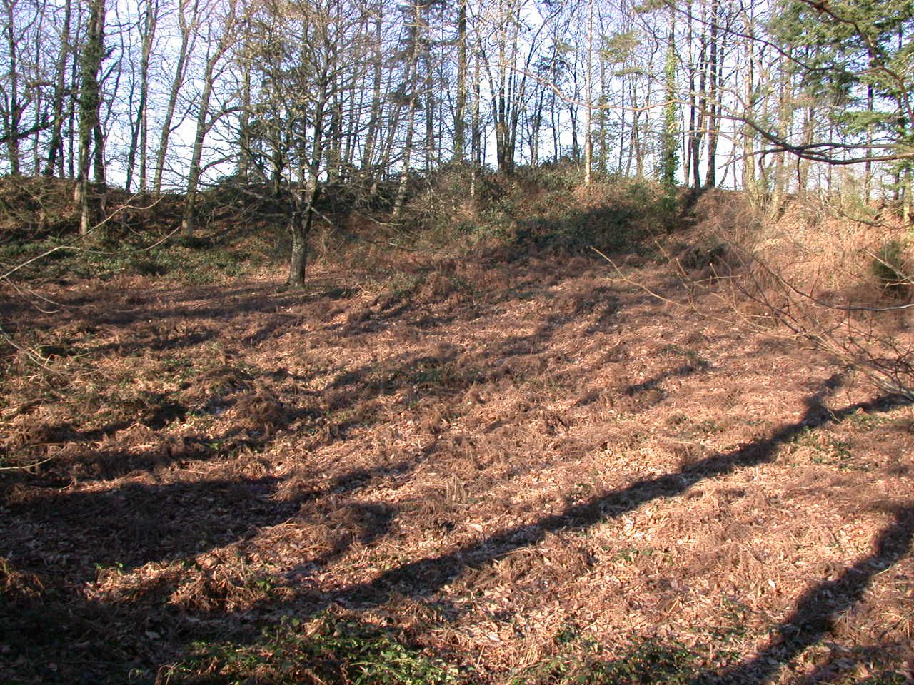 Châteauneuf du Faou, enceinte de Lesneven. Cliché A. Provost Châteauneuf du Faou, enceinte de Lesneven. Cliché A. Provost